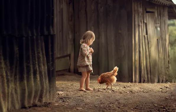 Picture childhood, chicken, girl