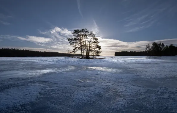 Winter, the sky, trees, ice, island, Finland, Finland, Lake Cariari