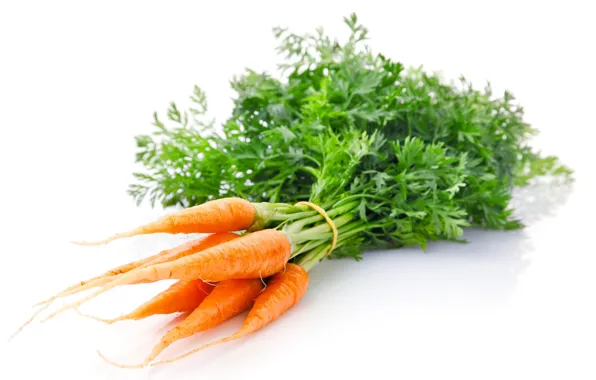 Orange, carrots, vegetable
