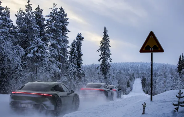 Road, forest, snow, sign, Porsche, 2020, Taycan, Taycan 4S
