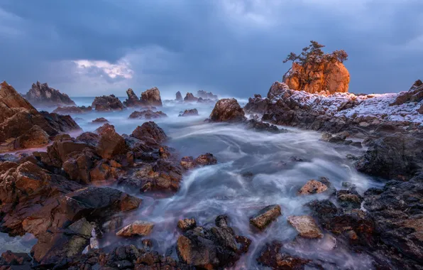 Winter, sea, snow, trees, landscape, clouds, nature, stones