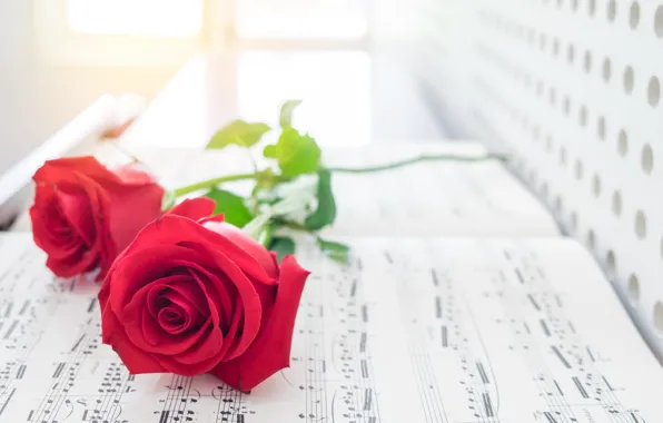 Picture notes, flowers, roses, leaves