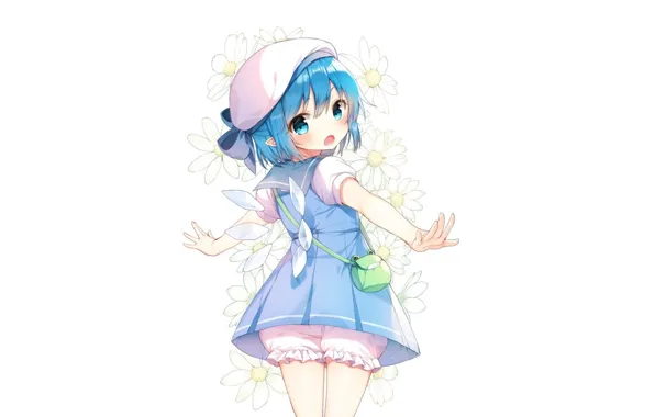 Back, chamomile, white background, handbag, crystals, touhou, blue hair, takes