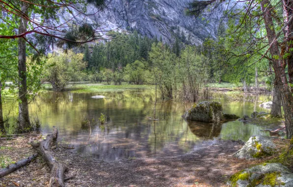 Picture forest, water, trees, mountains, stones, Yosemite National Park