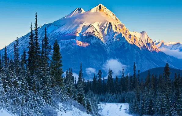 Winter, road, forest, the sky, snow, trees, mountains, nature