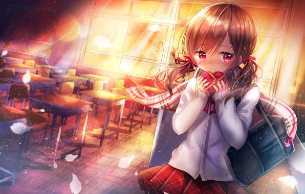 Chairs, girl, class, desks, Valentine's day