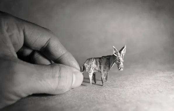 Picture hand, origami, donkey