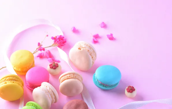 Flowers, the sweetness, tape, cake, cakes, macaroon