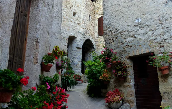 Picture street, France, flowers, pots, France, street, The Guelhem