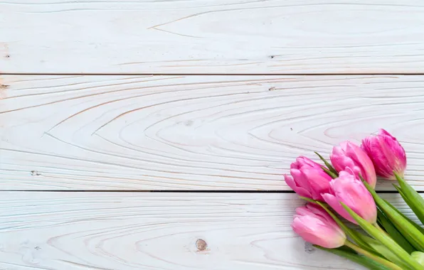 Flowers, tulips, pink, fresh, wood, pink, flowers, tulips