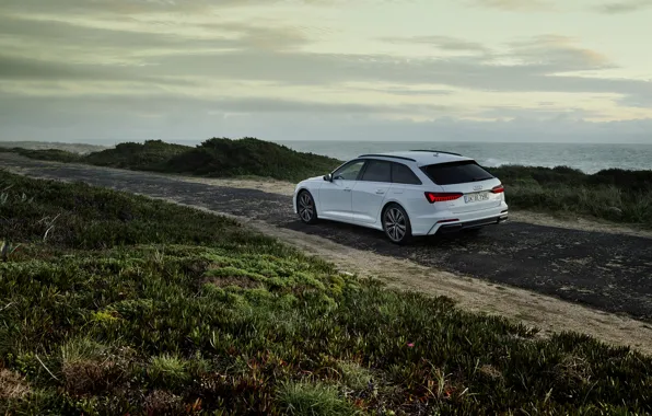 White, Audi, vegetation, hybrid, universal, Audi A6, 2020, A6