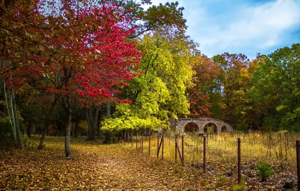 Autumn, Trees, Trail, Park, Fall, Bridge, Park, Autumn