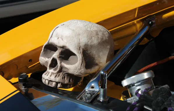 Auto, engine, skull, head, car, sake, engine, auto
