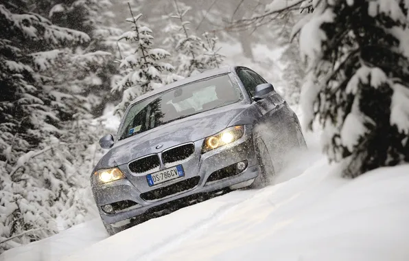 Snow, stick, BMW, tree, Touring, 320d