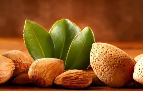 Picture nuts, leaves, almonds