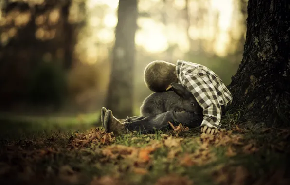 Autumn, boy, rabbit