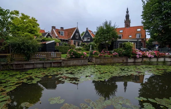 The sky, trees, flowers, pond, overcast, home, garden, Netherlands