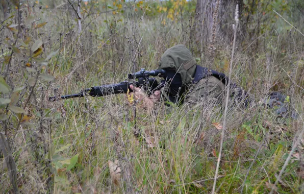 Weapons, sniper, special forces