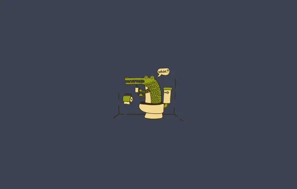 The dark background, crocodile, the toilet