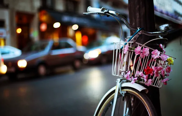 Picture road, flowers, machine, bike, the city, lights, basket, post