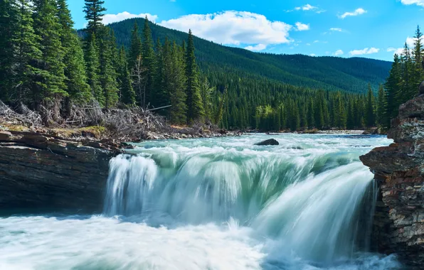 Forest, summer, the sky, water, clouds, mountains, nature, river