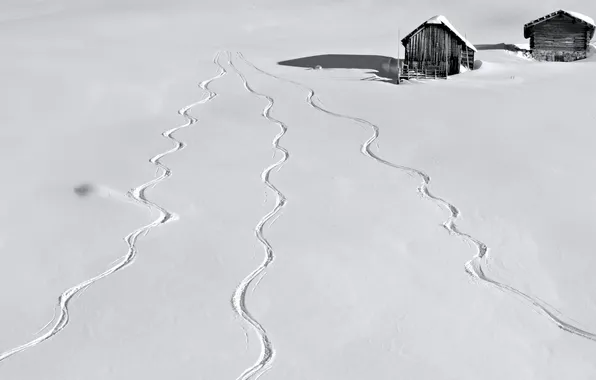 Winter, snow, trail, home