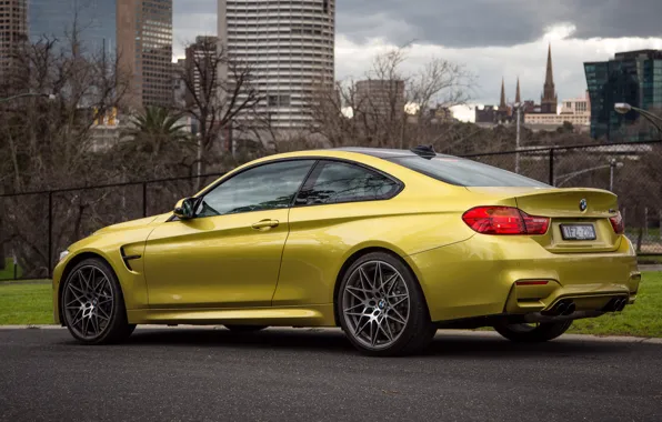Car, BMW, BMW, car, auto, Coupe, Competition Package, M4