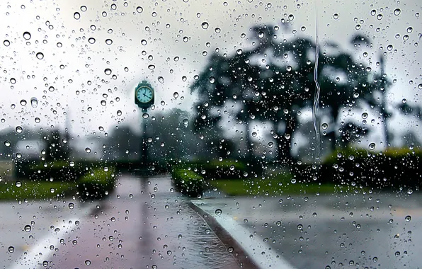 Drops, the city, rain, watch