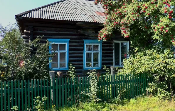 Summer, village, House, Rowan, ASINO, TOMSK