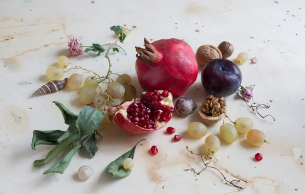 Leaves, flowers, table, grapes, shell, fruit, nuts, still life