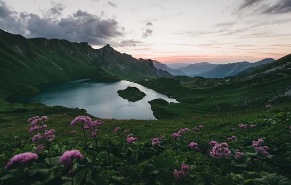 Flowers, mountains, lake, Germany