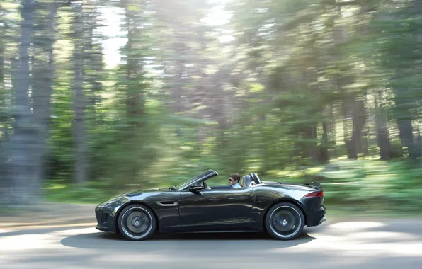 Forest, movement, Jaguar, convertible, side view, jaguar, f-type