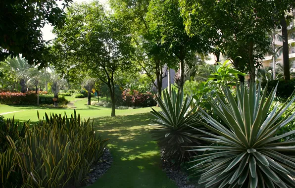 Nature, Nature, Tropical Garden, Tropical Garden