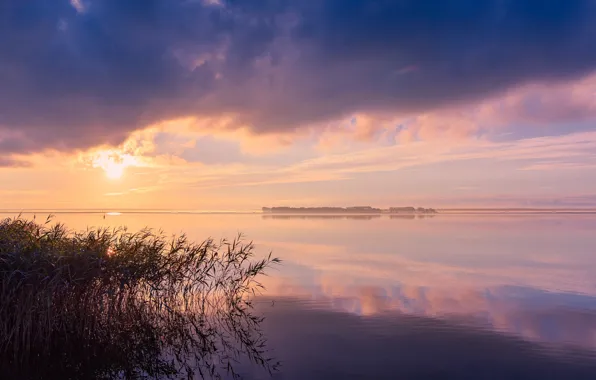 The sky, grass, clouds, reflection, dawn, shore, morning, pink