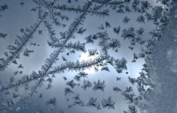Frost, Glass, frost, pattern.