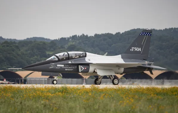 Picture the plane, Lockheed Martin, combat training, T-50A