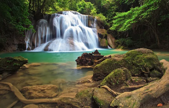 Greens, forest, trees, tropics, stones, waterfall, Thailand