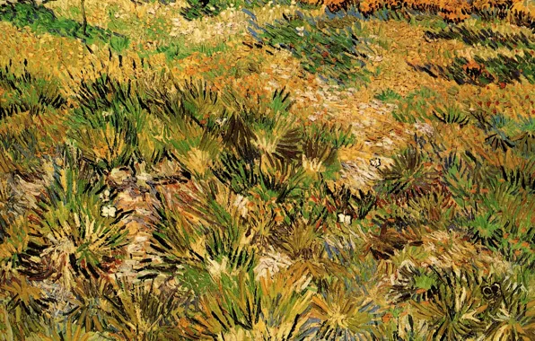 Picture Vincent van Gogh, Meadow in, the Garden of Saint-Paul Hospital