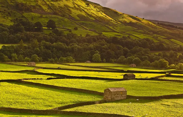 Field, landscape, mountains, home
