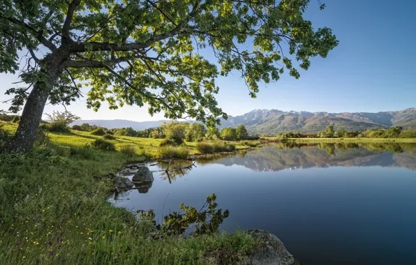 Picture mountains, lake, tree, Spain, Spain, Candeleda, Candeleda, Embalse de Rosarito