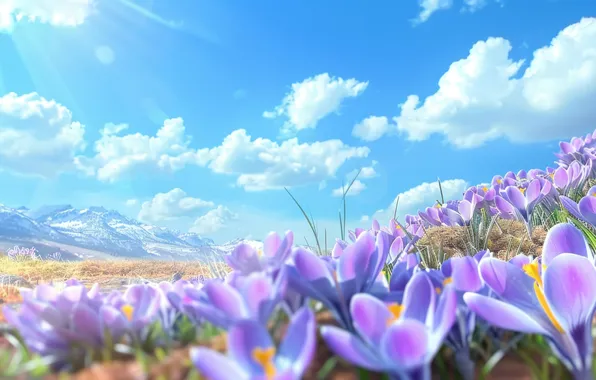 Field, the sky, the sun, clouds, rays, light, flowers, mountains