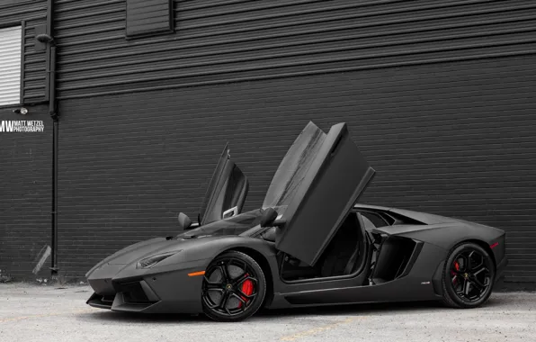 Picture Lamborghini, Space, Front, Grey, LP700-4, Aventador, Supercar, Doors