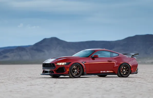 Picture Mustang, Shelby, Shelby Super Snake, 2024