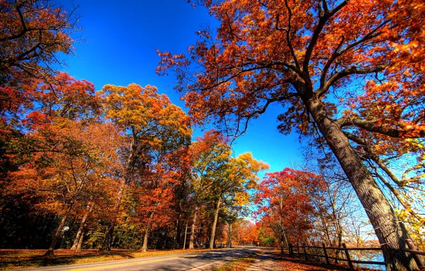 Picture road, autumn, the sky, leaves, trees, landscape