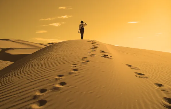 The sun, nature, the dunes, desert, traveler, dunes, male, traveler