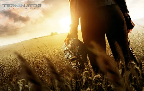 Picture field, grass, fiction, skull, hand, terminator, ears, poster