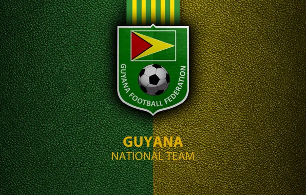 Flag of Guyana, asphalt texture, flag on asphalt, Guyana flag, South  America, HD wallpaper | Peakpx