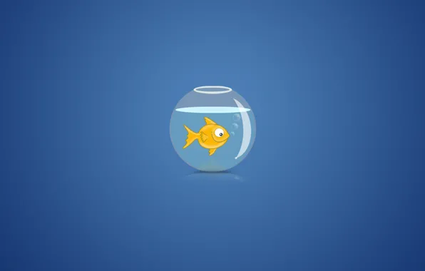 Picture water, bubbles, background, aquarium, goldfish