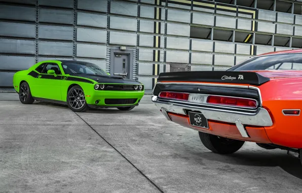 Car, green, Dodge, Challenger, wallpapers, T/A
