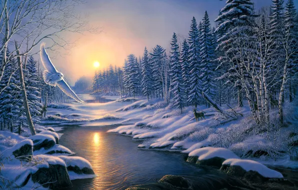 Picture winter, forest, animals, snow, sunset, nature, river, owl